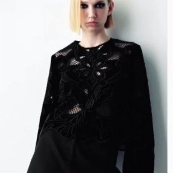 NWOT ZARA EMBROIDERED VELVET BLOUSE SZ XS - Picture 7 of 7
